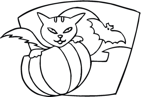 Coloring book cat in pumpkin